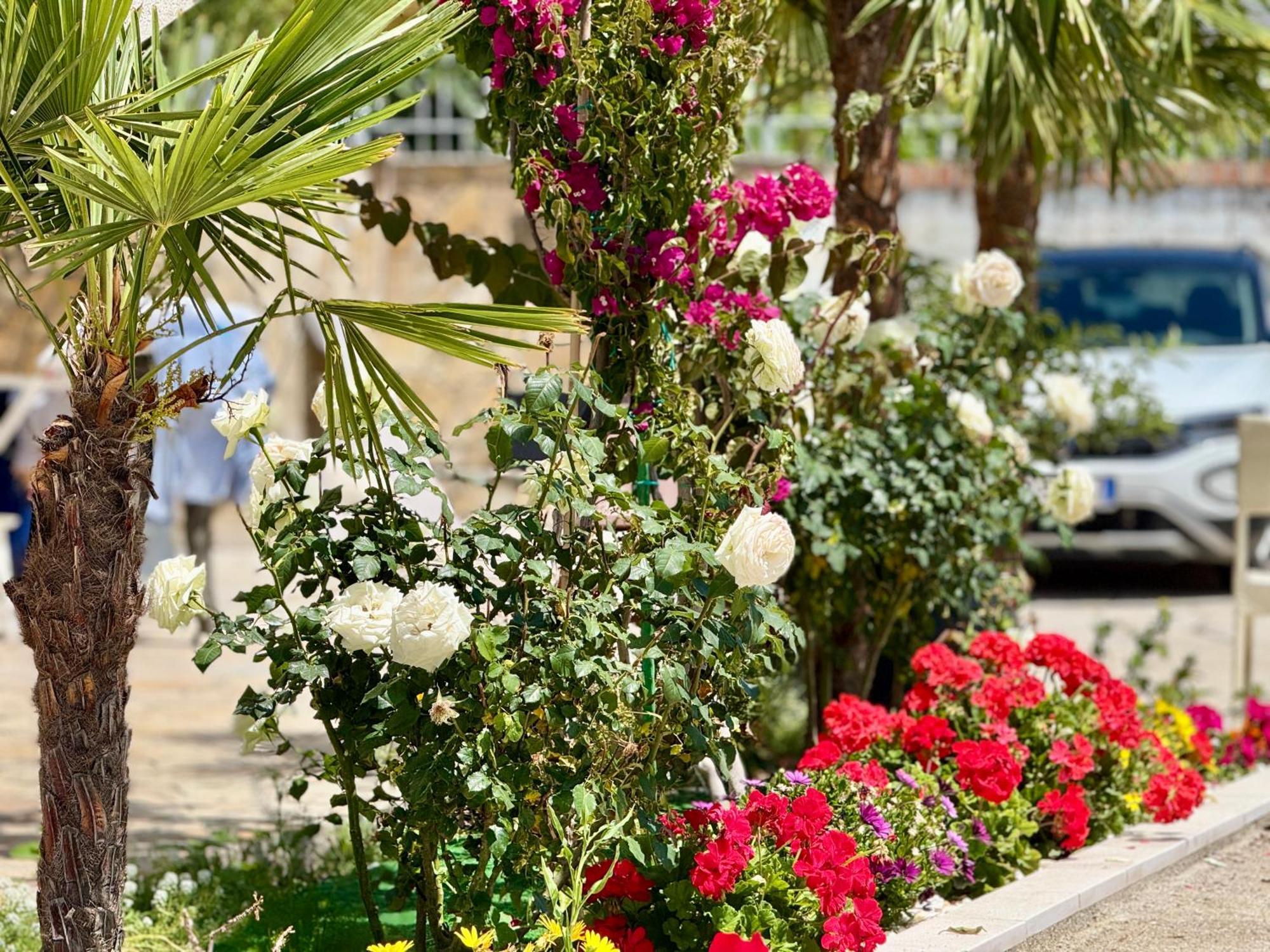 Villa Ida Apartments Vlorë 外观 照片