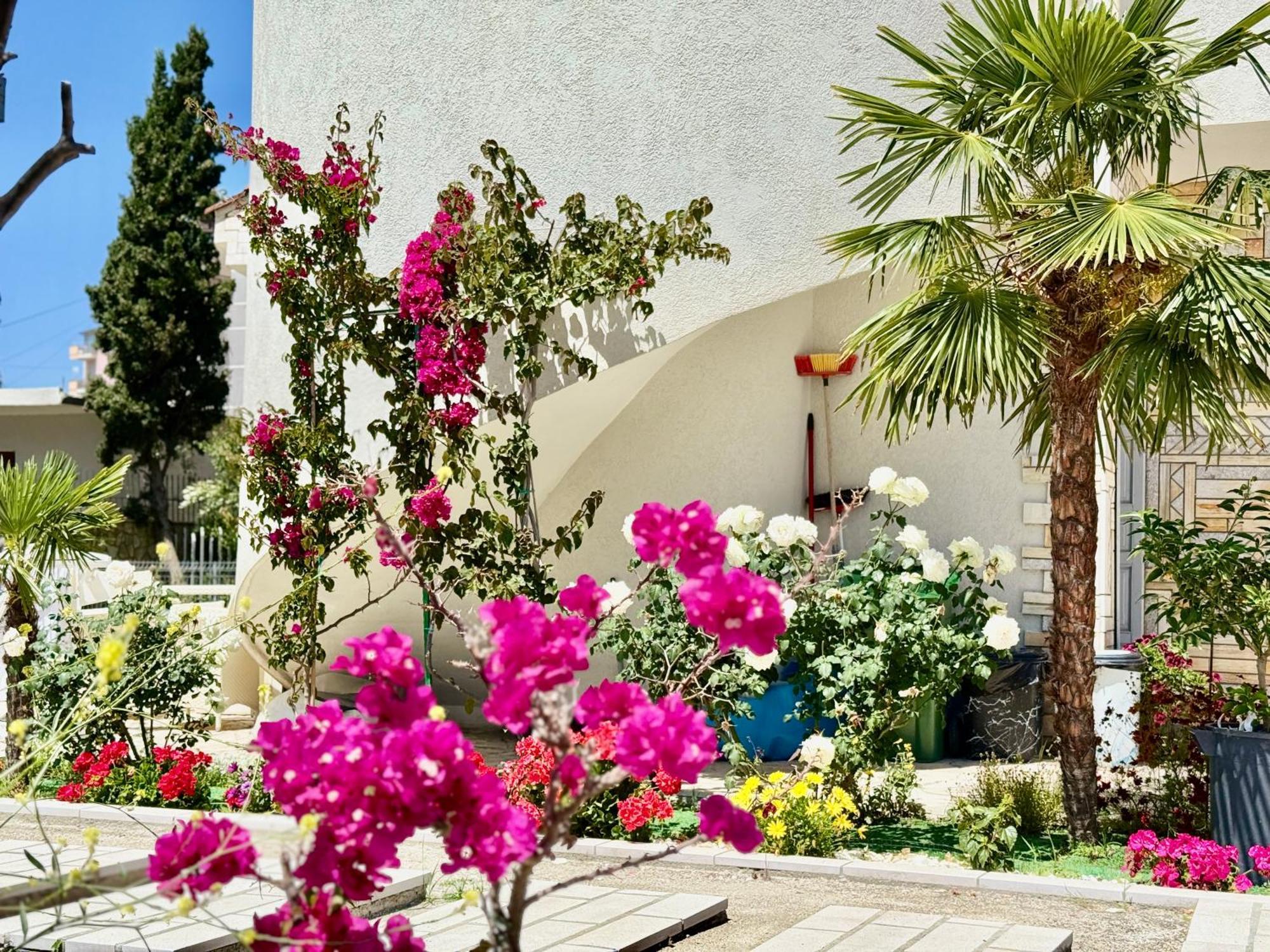 Villa Ida Apartments Vlorë 外观 照片